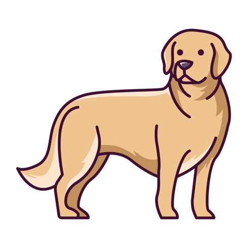 Introducing Your Pet